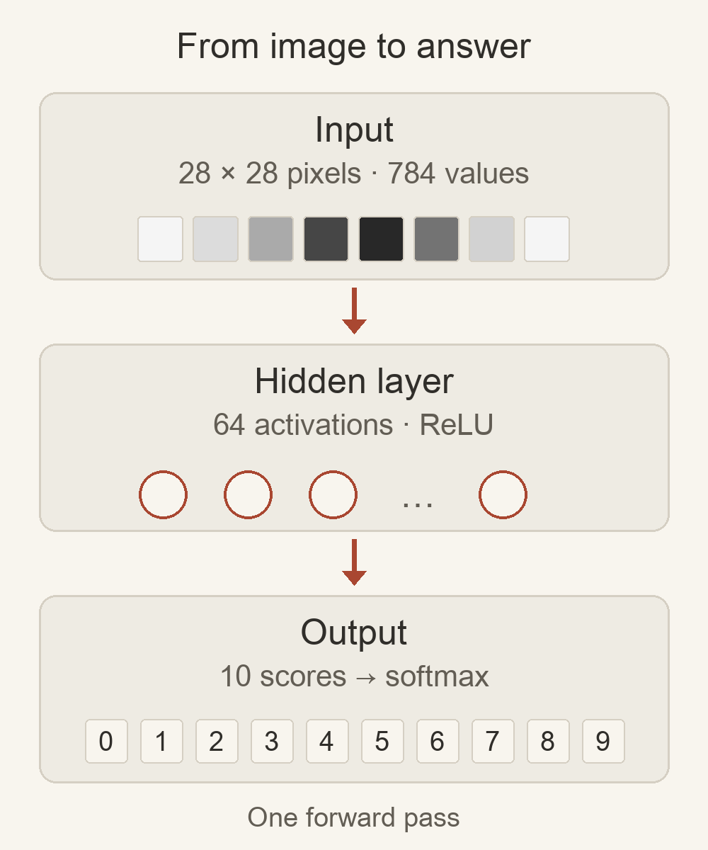 A 28 by 28 pixel image is represented by 784 inputs. A hidden layer produces 64 activations, which feed ten output scores, one per digit. Arrows show the forward flow.