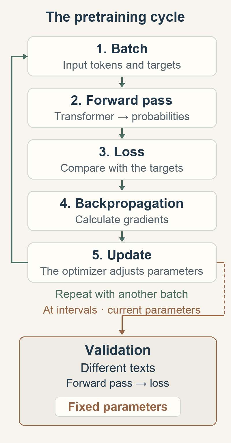 A batch passes through the forward pass, loss, backpropagation and a parameter update before the next batch. A separate branch uses the current parameters and different texts for validation, keeping the parameters fixed.