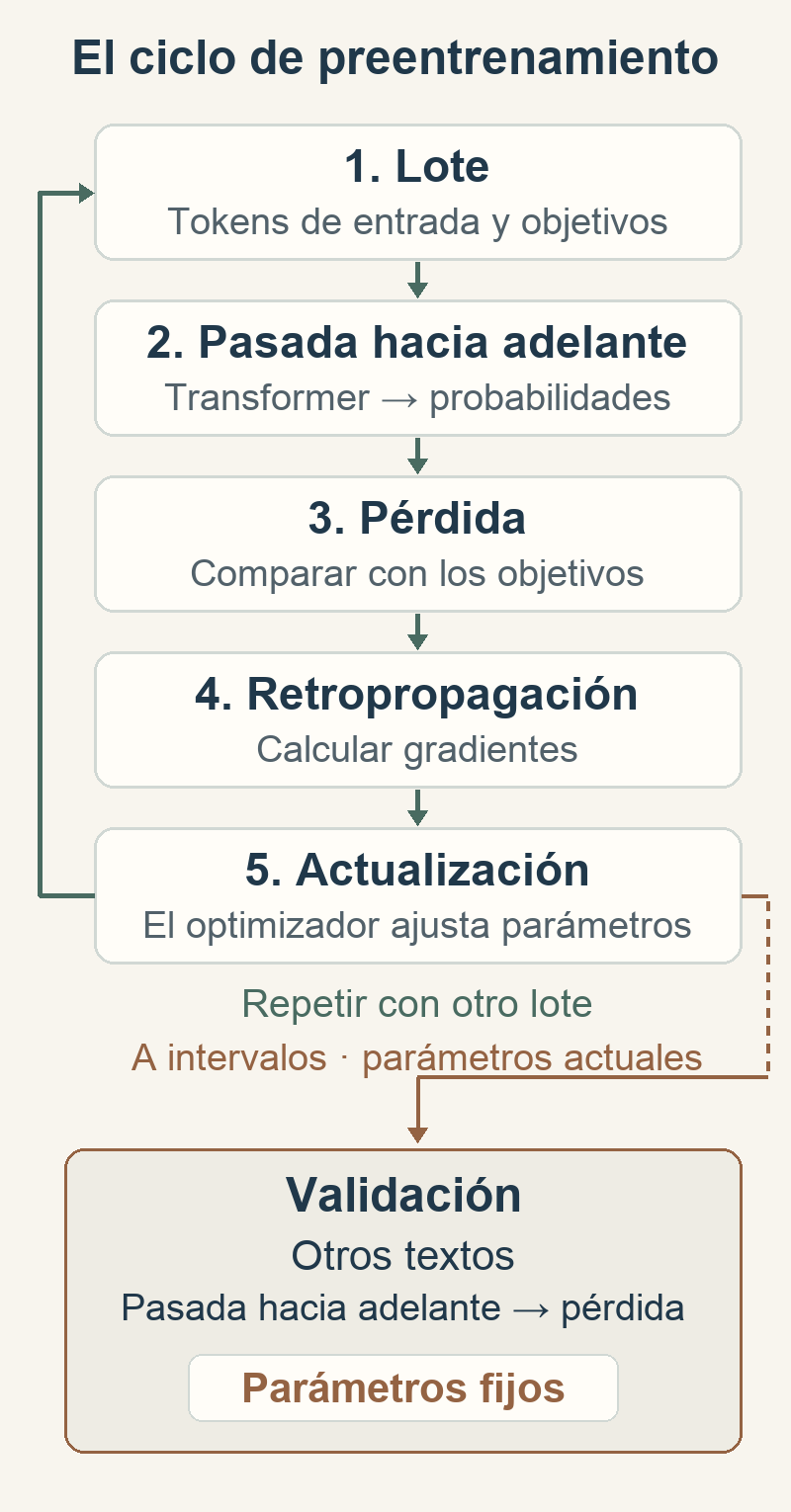 Un lote recorre la pasada hacia adelante, la pérdida, la retropropagación y la actualización de parámetros antes del siguiente lote. Una rama aparte usa los parámetros actuales y otros textos para validar, manteniendo fijos los parámetros.