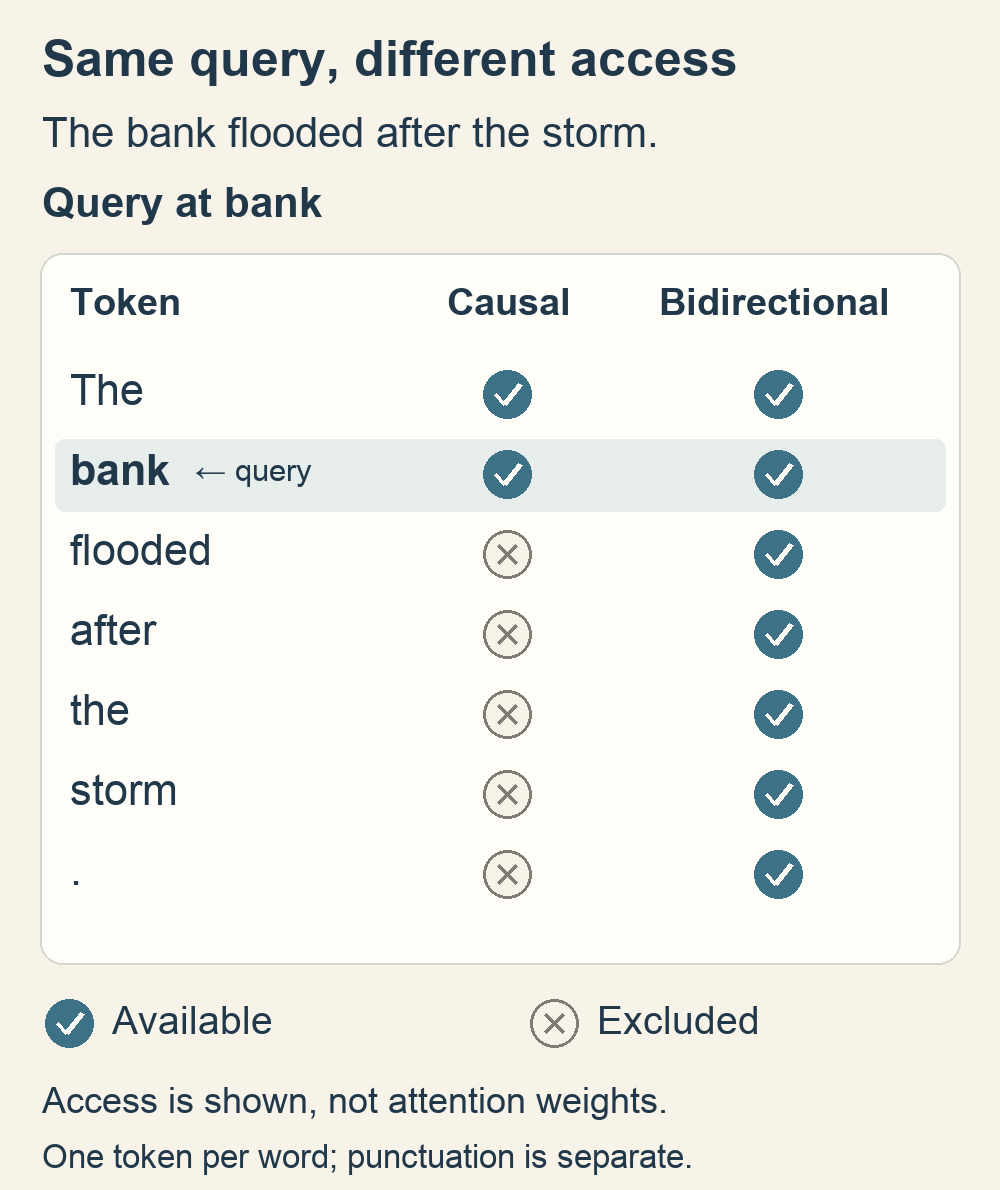 For the query at bank in The bank flooded after the storm, the causal mask allows The and bank. Bidirectional attention allows all seven positions, including storm and the final period.