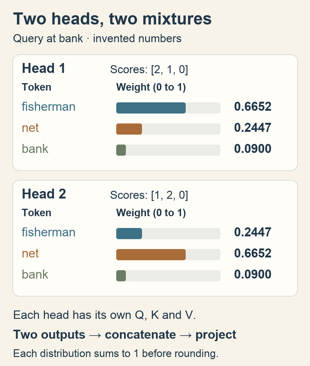 Two attention heads for the query at bank. The first gives fisherman a weight of 0.6652 and net 0.2447; the second swaps those weights. Each head has its own value projection.